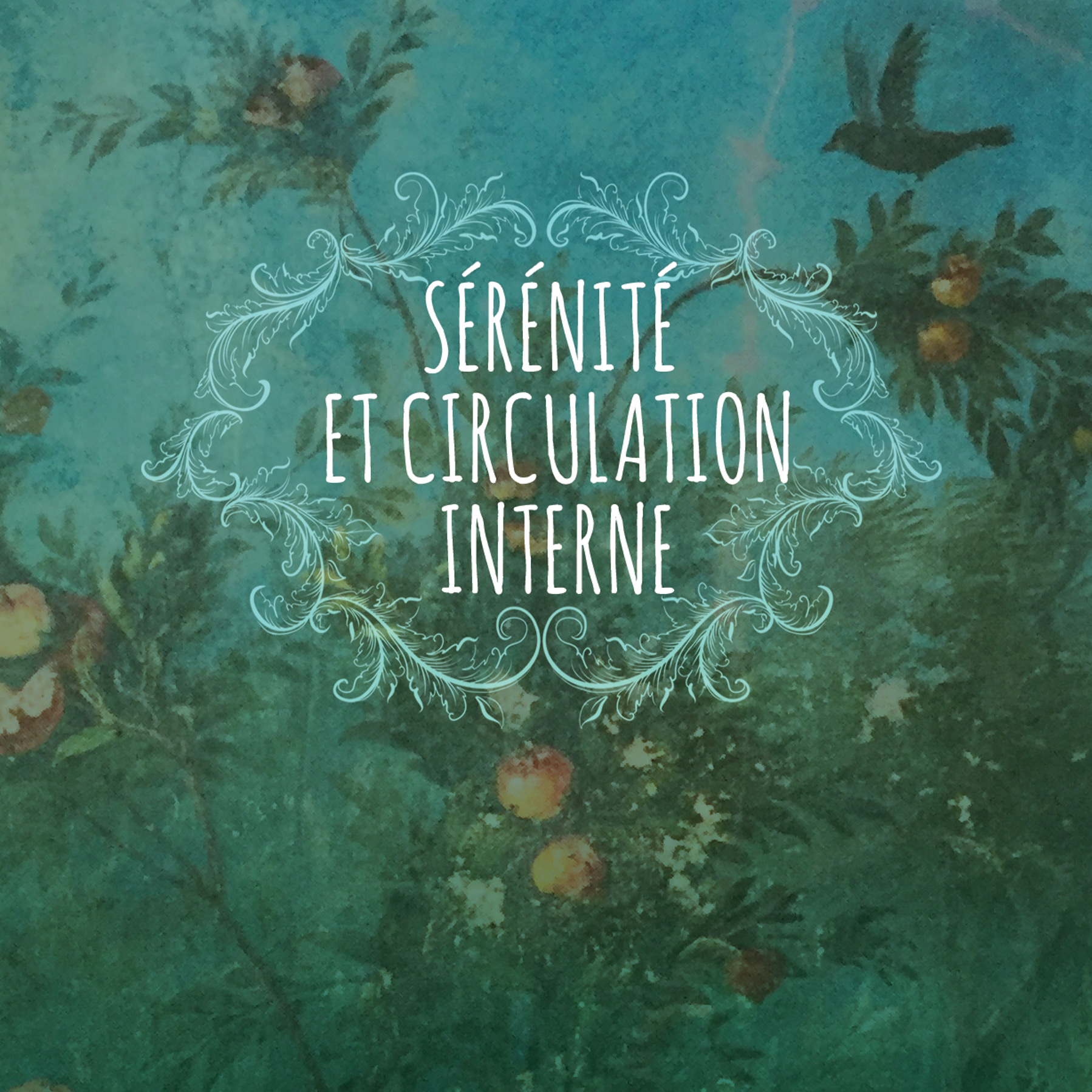 VISUEL-serenite-et-circulation-interne-Die-eclat-de-linstant